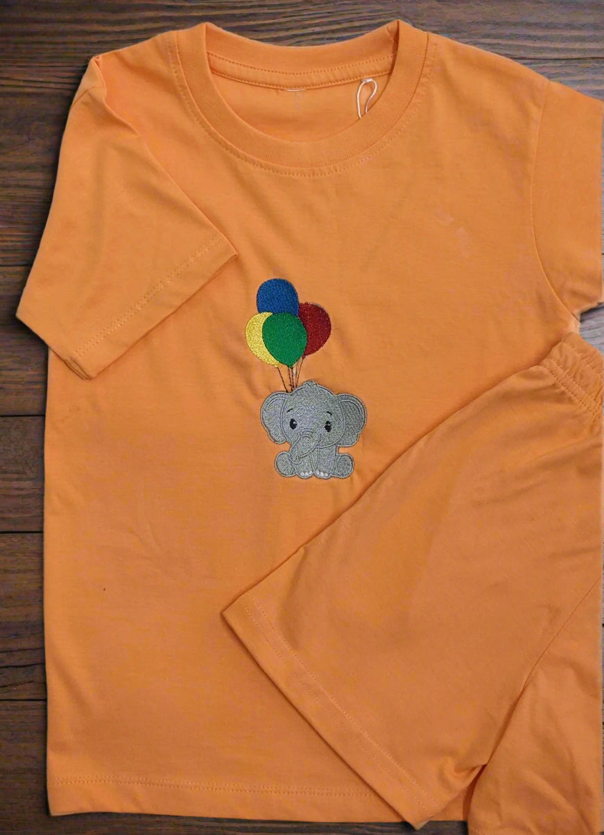 kids shorts and t-shirt set