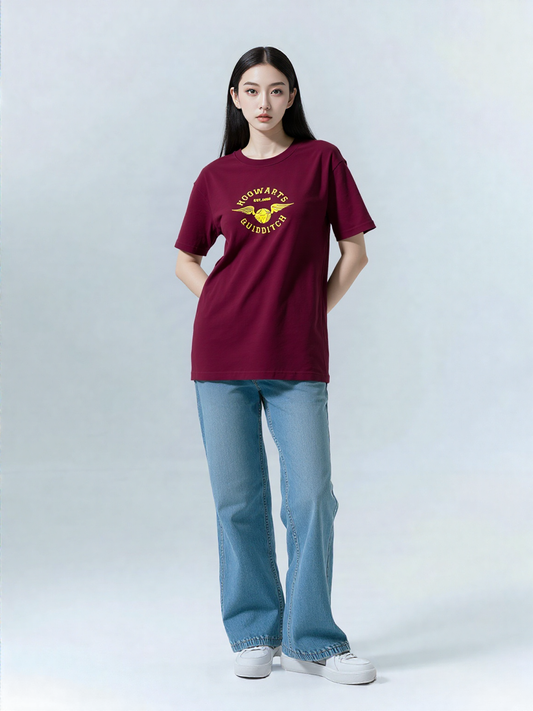 Harry Potter Quidditch