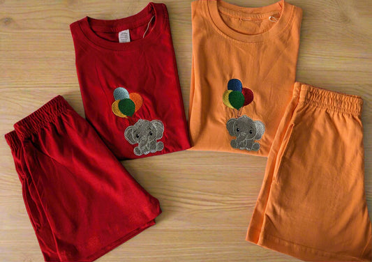 kids shorts and t-shirt set